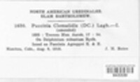 Image Associated With the Occurence
